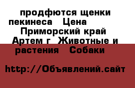 продфются щенки пекинеса › Цена ­ 4 000 - Приморский край, Артем г. Животные и растения » Собаки   